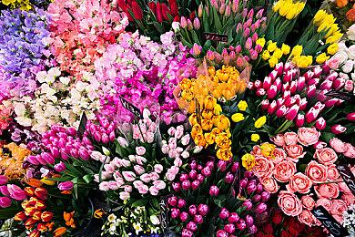 《饥荒联机版》“恐惧宿主”宣传片 内容更新现已发布